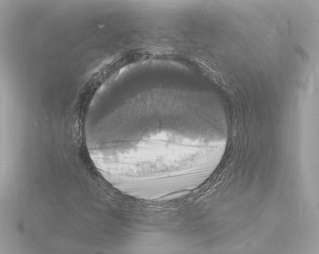 X0000115511398200912181435