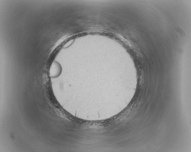 X0000115511400200912181435