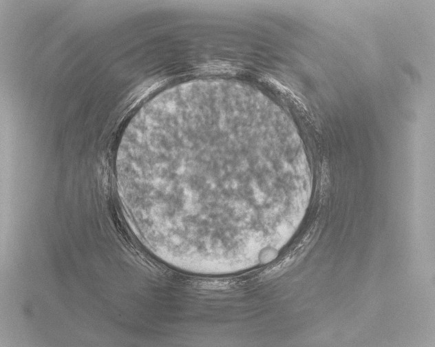 X0000115511401200912181435