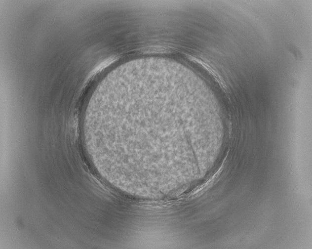 X0000115511402200912181435