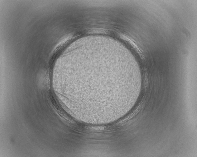 X0000115511403200912181435