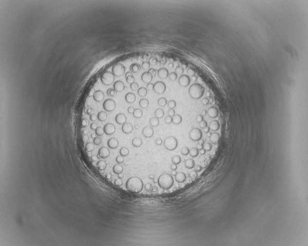 X0000115511404200912181435