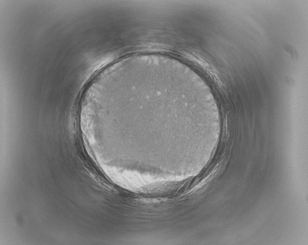 X0000115511405200912181435