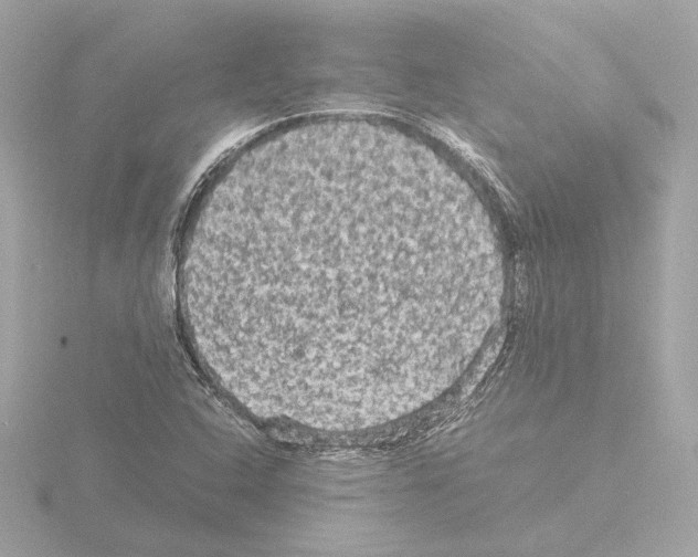 X0000115511408200912181435