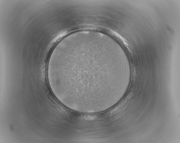 X0000115511411200912181435