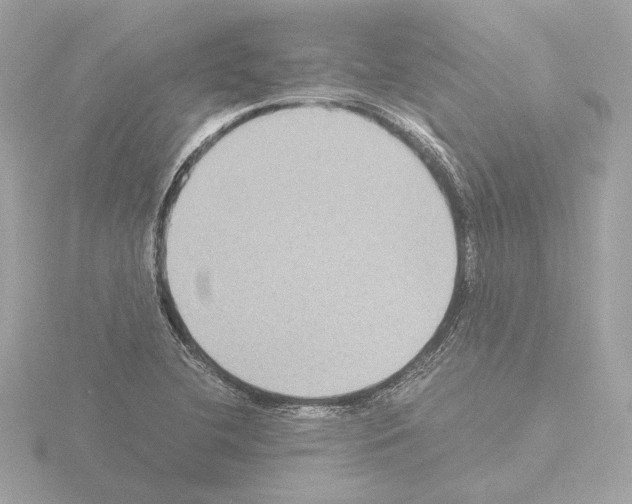 X0000115511412200912181435