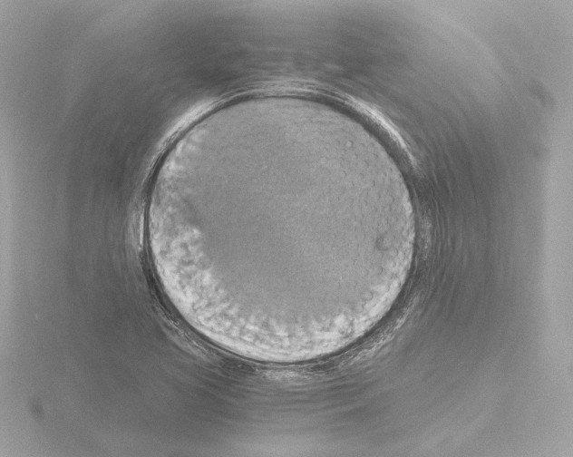 X0000115511413200912181435