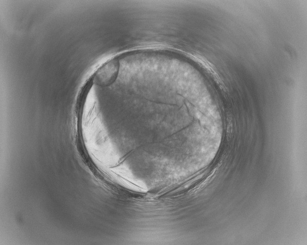 X0000115511414200912181435