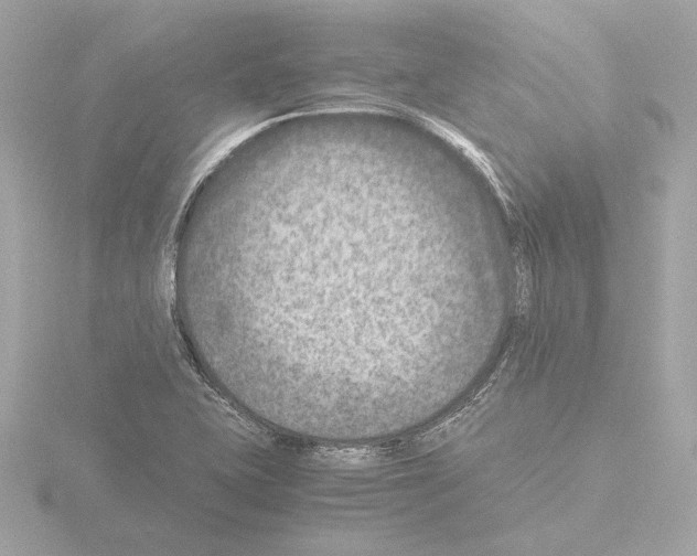 X0000115511415200912181435