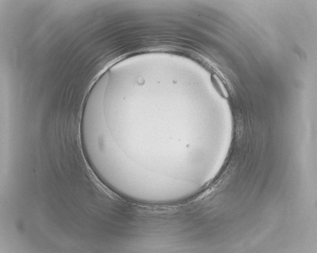 X0000115511417200912181435