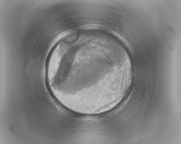 X0000115511418200912181435