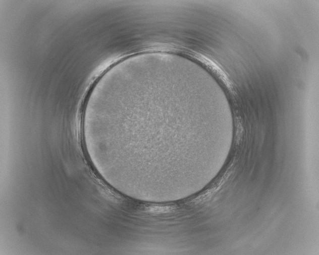 X0000115511419200912181436