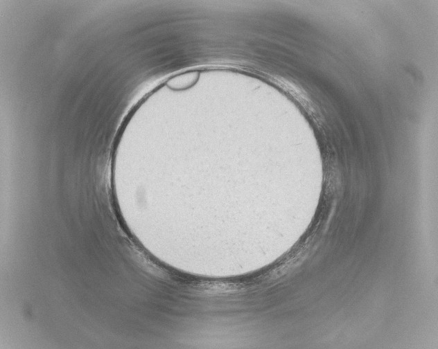 X0000115511420200912181436