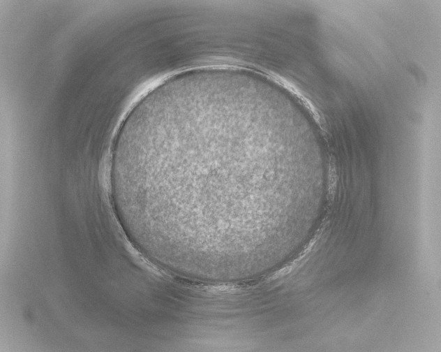 X0000115511421200912181436