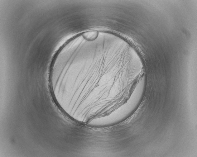 X0000115511422200912181436