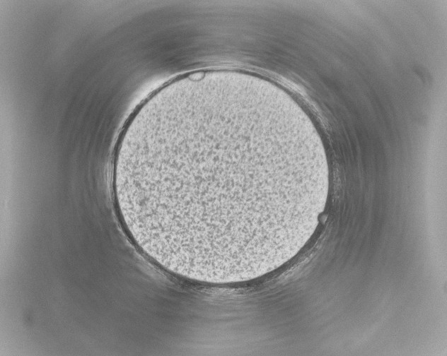 X0000115511424200912181436