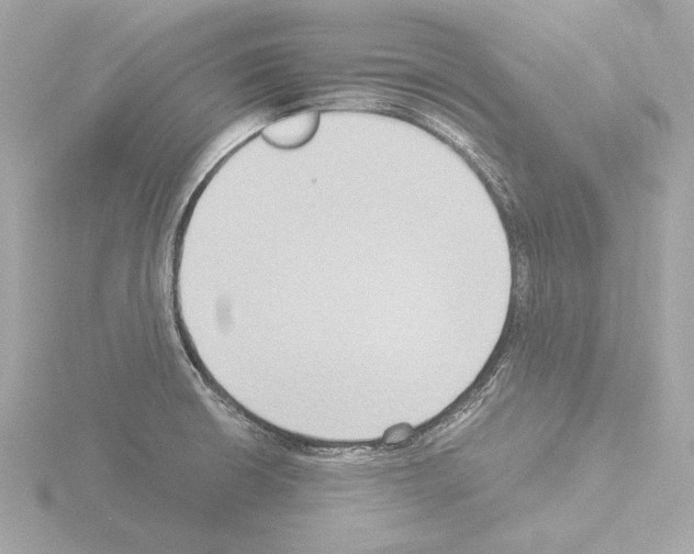 X0000115511426200912181436