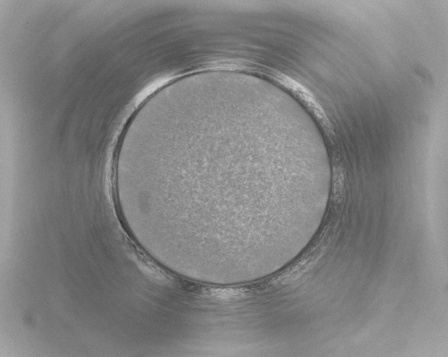 X0000115511427200912181436