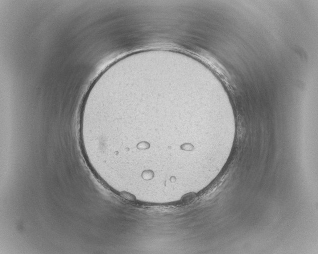 X0000115511430200912181436