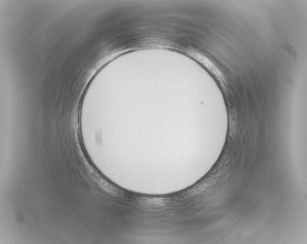 X0000115511431200912181436