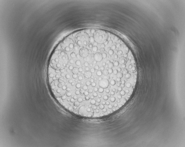 X0000115511432200912181436