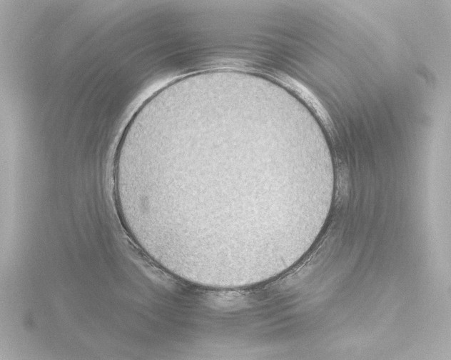 X0000115511435200912181436