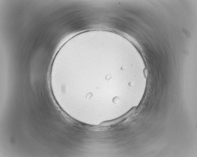 X0000115511440200912181436