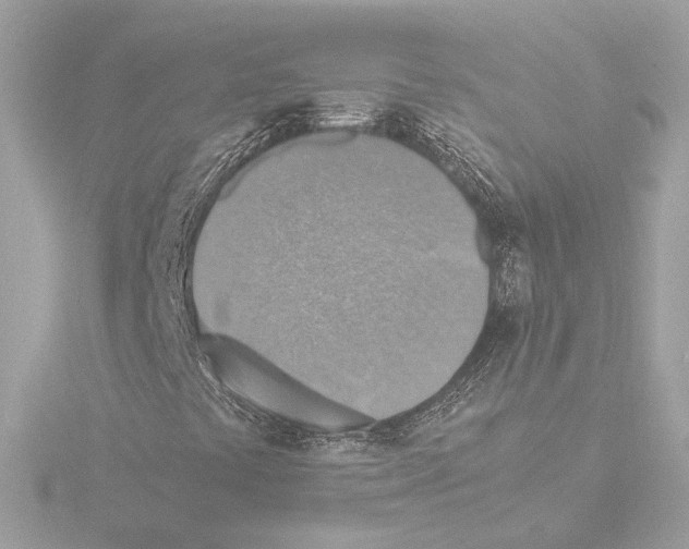 X0000115511441200912181435