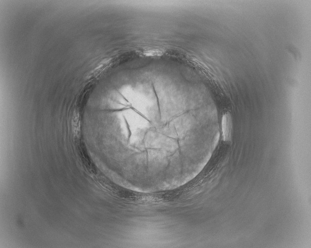 X0000115511443200912181435