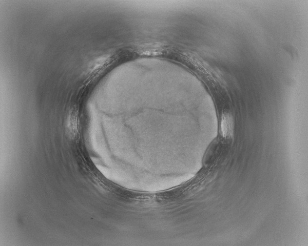 X0000115511444200912181435