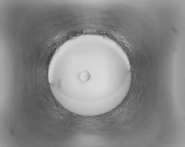 X0000115511445200912181435