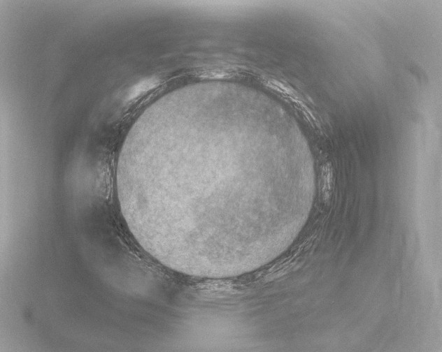 X0000115511446200912181435