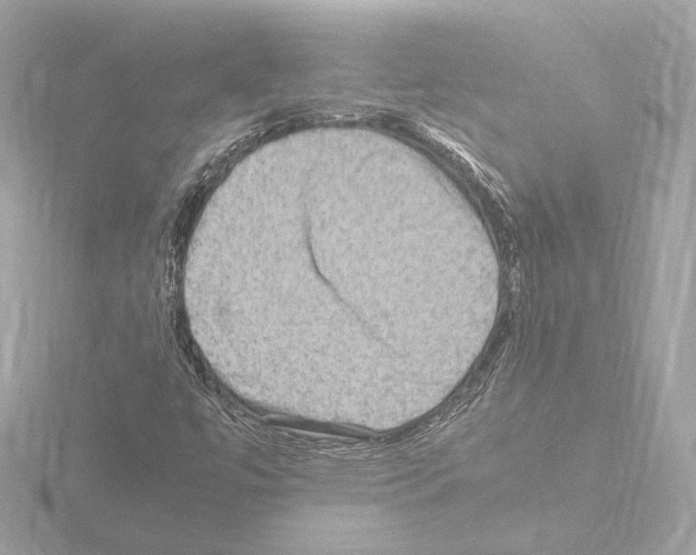 X0000115511447200912181435