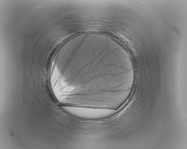 X0000115511449200912181435