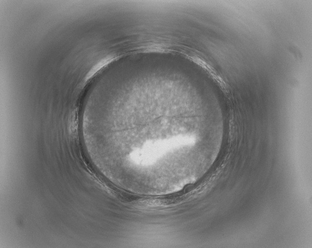 X0000115511450200912181435