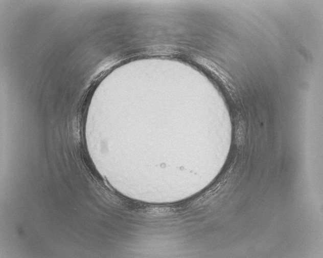 X0000115511451200912181435