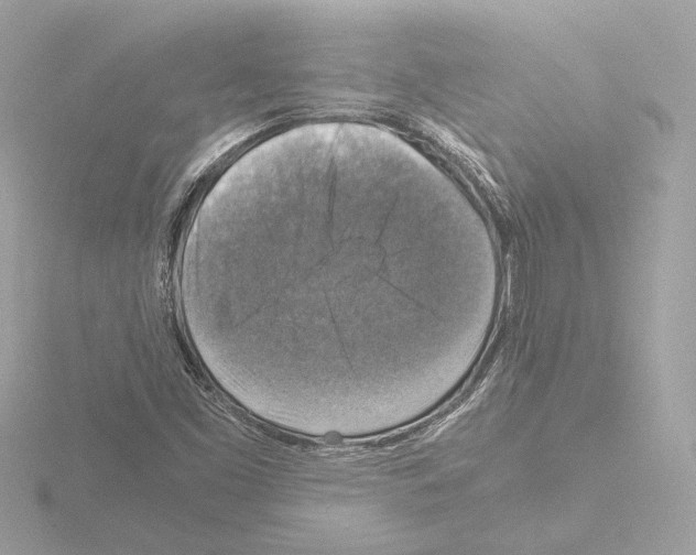 X0000115511453200912181435