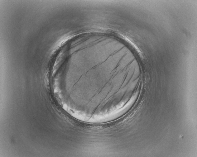 X0000115511455200912181435