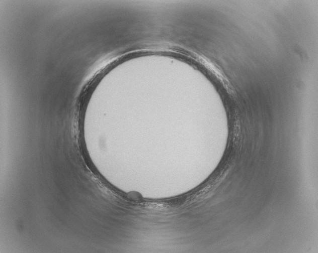 X0000115511456200912181435