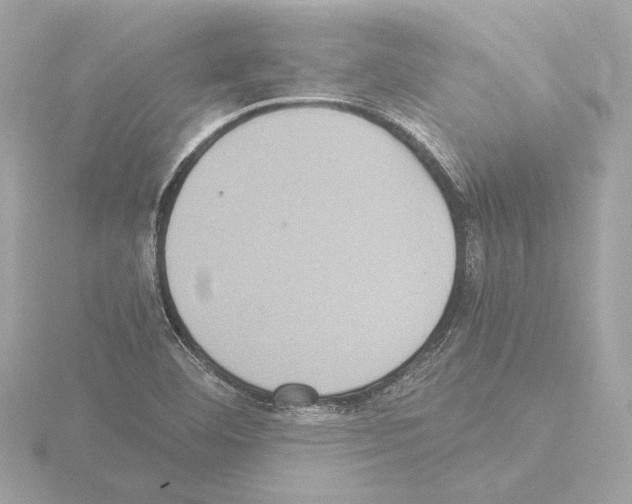 X0000115511460200912181435