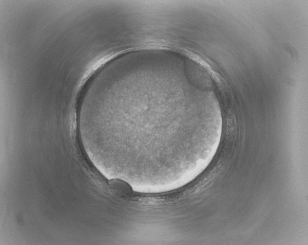 X0000115511461200912181435