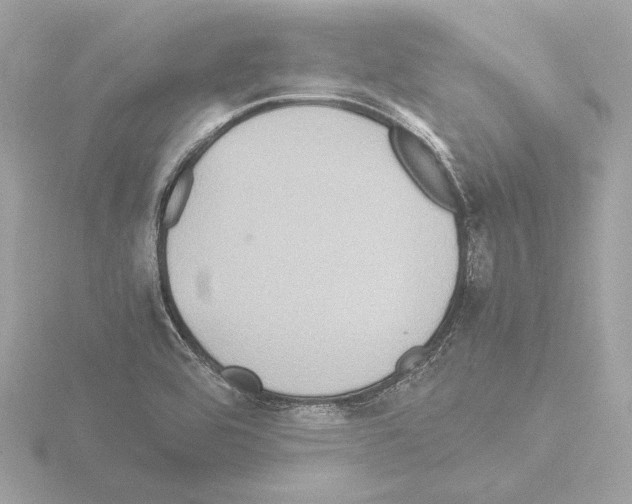 X0000115511464200912181435