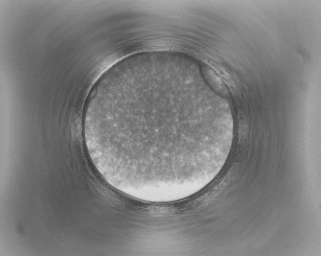 X0000115511465200912181435