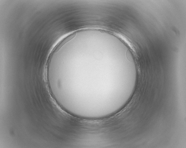 X0000115511468200912181435