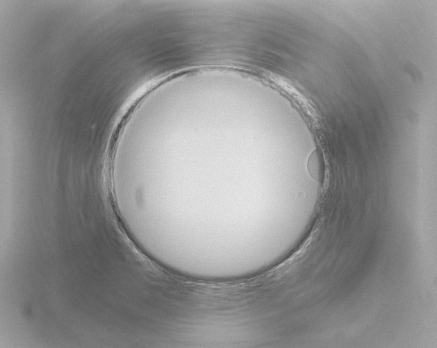 X0000115511469200912181435