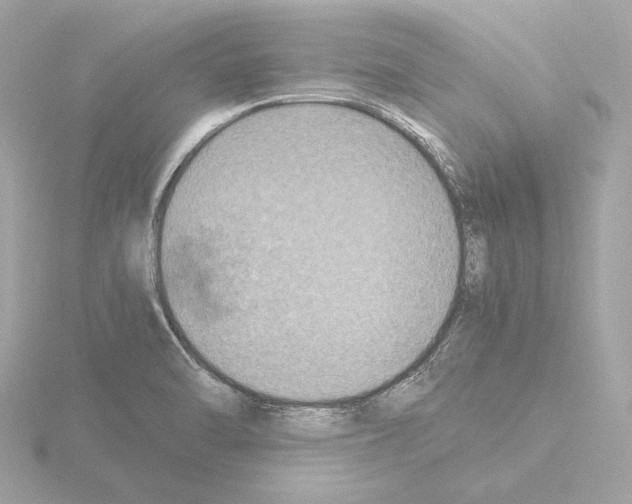 X0000115511470200912181435