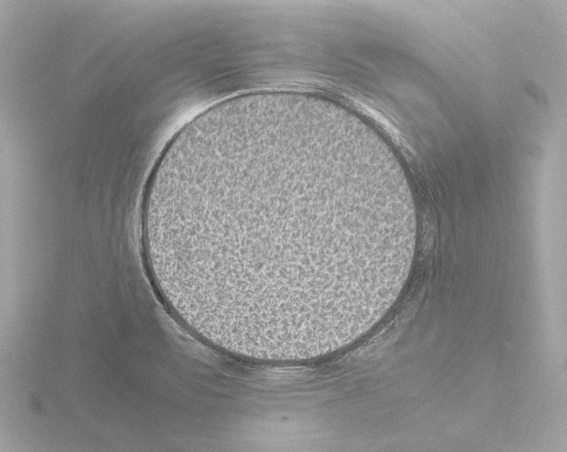 X0000115511471200912181435