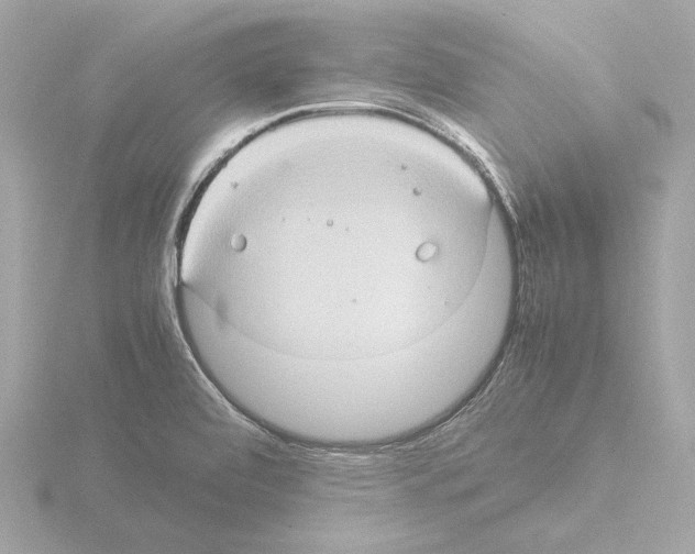 X0000115511472200912181435