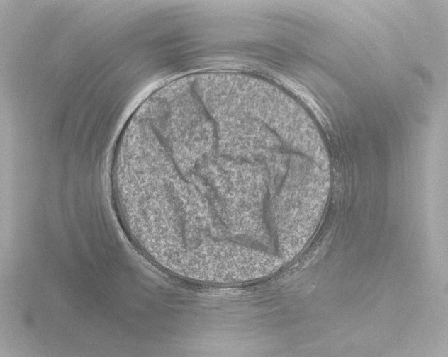 X0000115511475200912181435