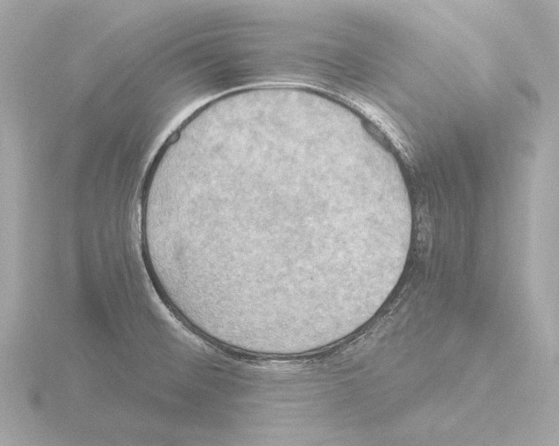 X0000115511476200912181435